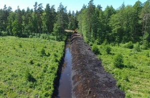 В лесах Rīgas meži очищено почти 50 километров мелиорационных рвов
