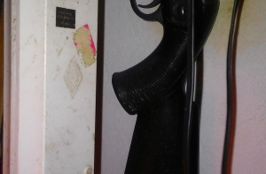 В квартире обнаружена плантация марихуаны