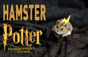 Hamster Potter!