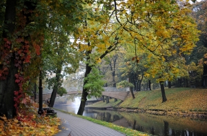 В выходные дни будет промозгло и ветрено