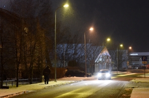 Жители Латвии радуются первому снегу