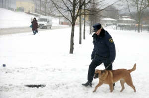 Шокирующие данные: в Латвии без вести пропало рекордное число людей