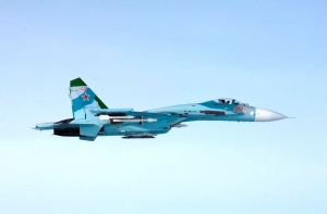 Эстония заявила о нарушении российским Су-27 воздушного пространства республики