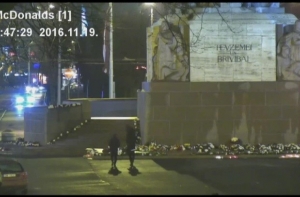 «Свинство года»: девушка справляла нужду прямо на цветы у памятника Свободы