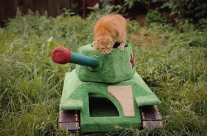 ТАНК ДЛЯ КОТА!