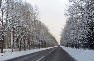 На Елгавском шоссе произошло крупное ДТП: движение блокировано