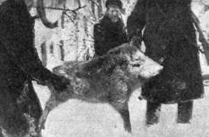 28 декабря в истории Латвии: президентская охота