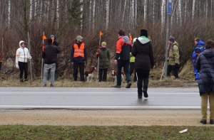 Bezvests.lv трогательно поздравил латвийцев с 2017 годом: главное - не теряйтесь!