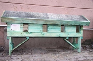 10 января в истории Латвии: кошкин дом