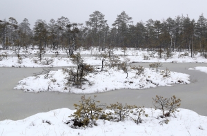 Из Кемерского болота вытащены два человека
