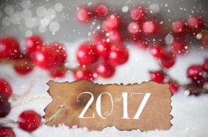 Большой гороскоп для всех знаков Зодиака на 2017 год