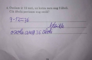 Латвийских школьников учат считать яблоки на дубе