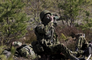 Эстония опасается: местных жителей и военных НАТО может «стравить» Россия