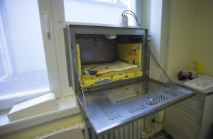 В елгавском Baby box оставили девочку