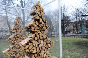 Спиливших уникальную тую оштрафуют на 20 900 евро