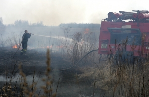 В Латвии начался сезон поджигания прошлогодней травы