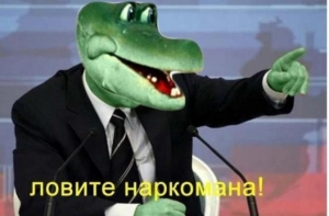 Опубликован список лучших фильмов для просмотра «под кайфом»