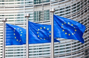 МИД Грузии назвал дату начала безвизового режима с ЕС