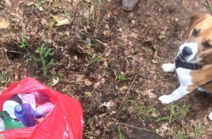 Люди в соцсетях устроили флешмоб #Этоведьнесложно - сделать Латвию более чистой