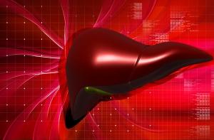 Печень латвийского донора доставили в Литву военным вертолетом