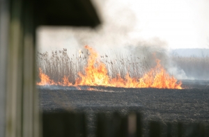 Поджигатели травы открыли весенний сезон