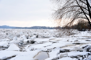 В Екабпилсе поднялся уровень воды в Даугаве