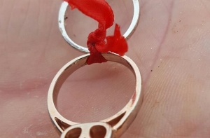 В Межциемсе стаффорд чуть не загрыз другого пса: ведется поиск хозяина