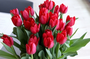 23 апреля в истории Латвии: день цветов