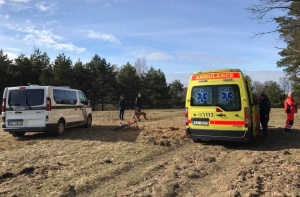 Прогулка: на дереве нашли повесившегося мужчину, который позже «ожил»