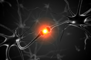 Эксперт: все, что мы знаем о мозге - лишь наше представление о нем