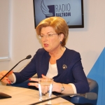 Судраба: вряд ли налоговая реформа принесет пользу бизнесу