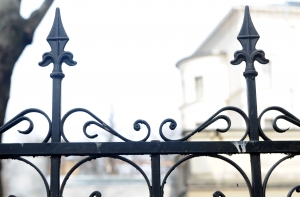 Спасатели помогли напоровшейся на забор собаке