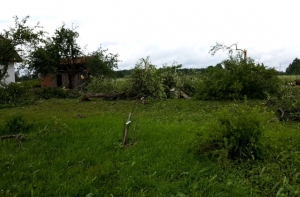 Торнадо в Латвии: поваленные деревья и дома без электричества