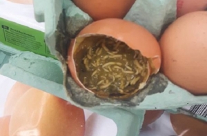 Покупатель обнаружил в магазине Rimi яйцо с личинками
