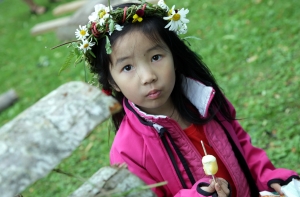 Китайцев и индусов научат праздновать Лиго