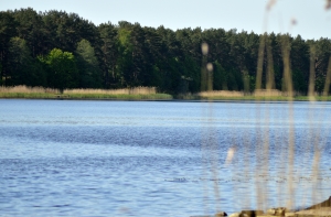 Вода в латвийских водоемах прогрелась до +20 градусов