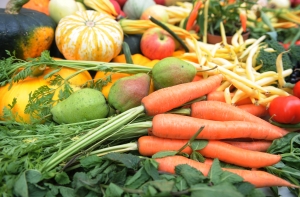 Токсиколог: урожай юрмальских огородников может быть отравлен