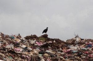 Владельцы сгоревшей свалки отказалась очищать территорию из-за нехватки денег