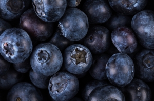 Женщина, собирая чернику в лесу, забыла о ребенке в детсаду