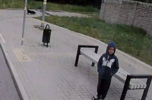 Криминалист: случай с Ваней Берладиным выявил серьезные проблемы в обществе