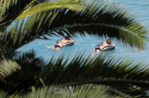 Скидок не ждите: Средиземноморье заработало миллиарды на наших дождях