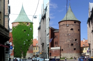 Для спасения рижской Пороховой башни вырубили весь дикий виноград