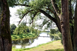 Обнаружено тело упавшего в Гаую 12-летнего мальчика