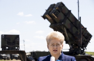 Президент Литвы призвала США не увозить ракетные комплексы Patriot