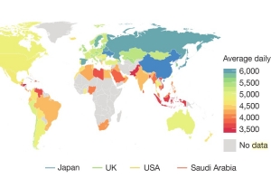 Доброволец о поисках ребенка: ищут все и по всей Лиепае