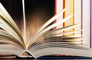 В Верманском саду откроется пункт обмена книгами