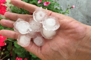 В некоторых районах Латвии выпал град размером с перепелиные яйца (ФОТО)