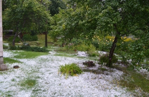 А на Колке выпал снег!