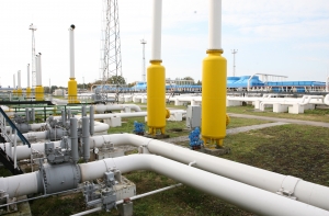 Премьер предлагает скупить акции Инчукалнского газохранилища
