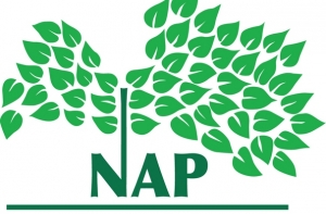 14 августа в истории Латвии:  есть план